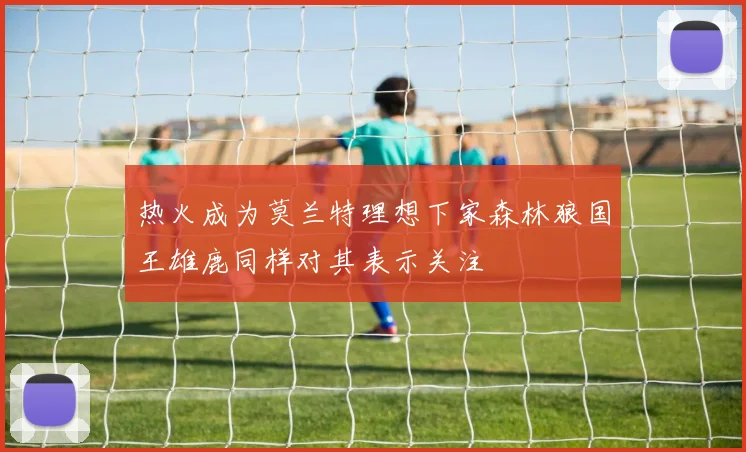 热火成为莫兰特理想下家森林狼国王雄鹿同样对其表示关注