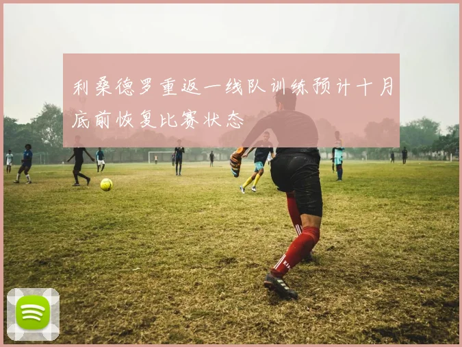 利桑德罗重返一线队训练预计十月底前恢复比赛状态