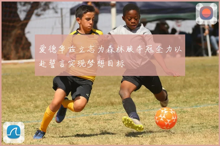爱德华兹立志为森林狼夺冠全力以赴誓言实现梦想目标