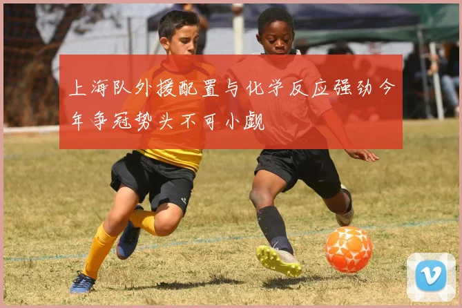 上海队外援配置与化学反应强劲今年争冠势头不可小觑